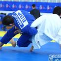CEU 2011 100127